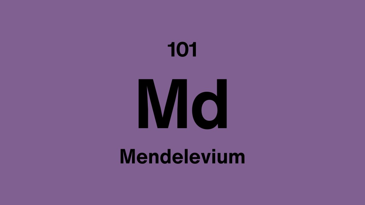 Mendelevium element symbol Md, atomic number 101, on a purple periodic table tile
