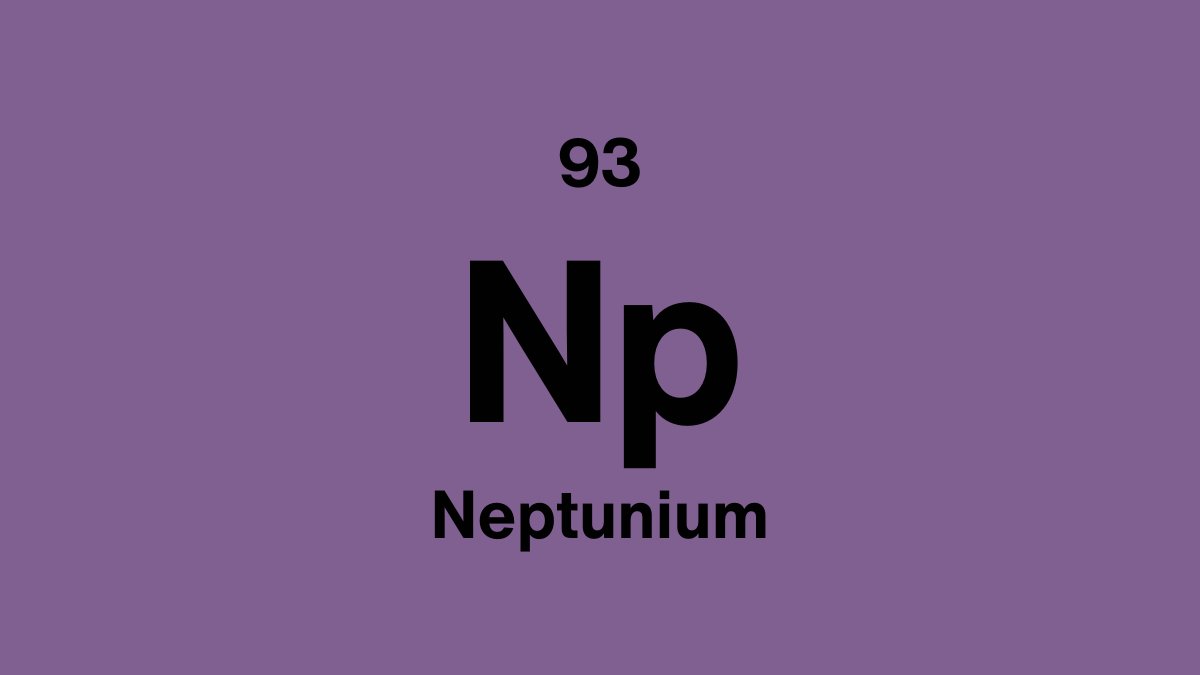 Neptunium element symbol Np, atomic number 93, on a purple periodic table tile