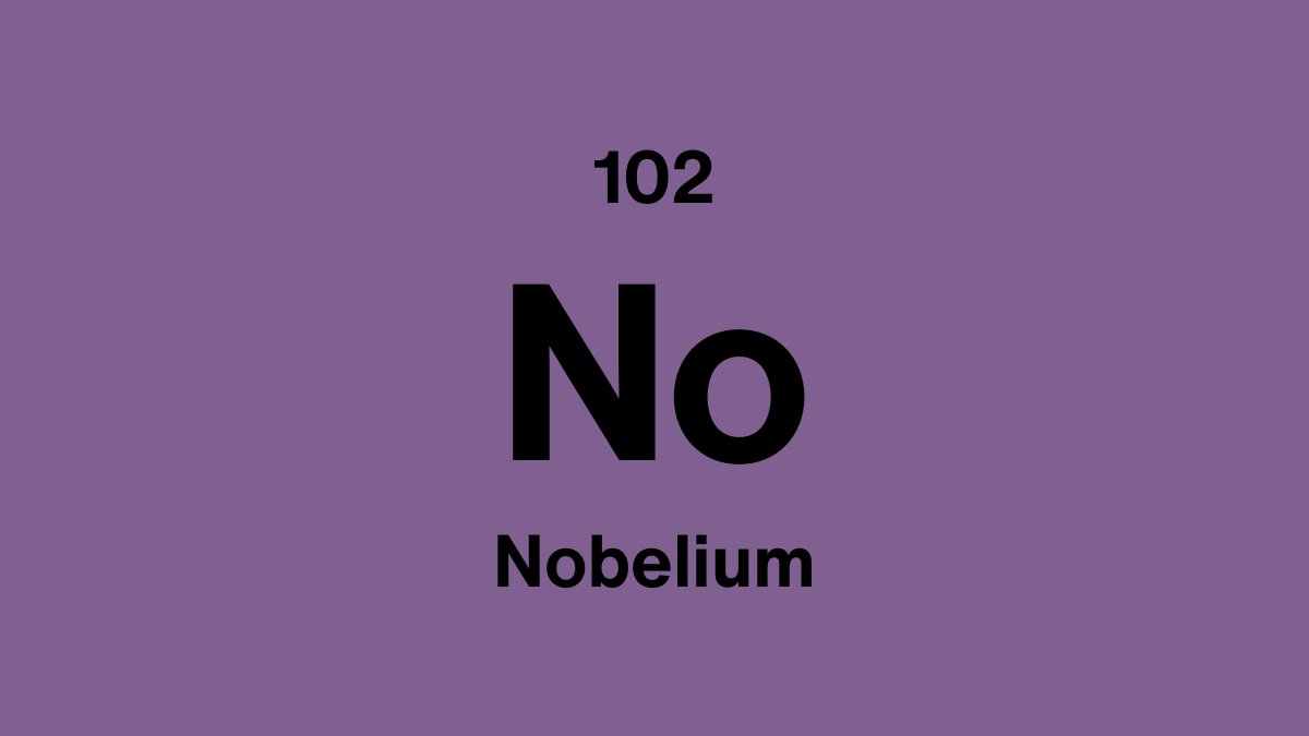 Nobelium element symbol No, atomic number 102, on a purple periodic table tile