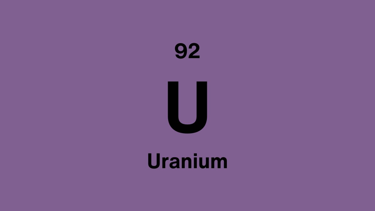 Uranium element symbol U, atomic number 92, on a purple periodic table tile
